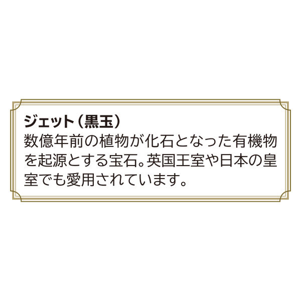 ジェット2点セット　ネックレス・イヤリング