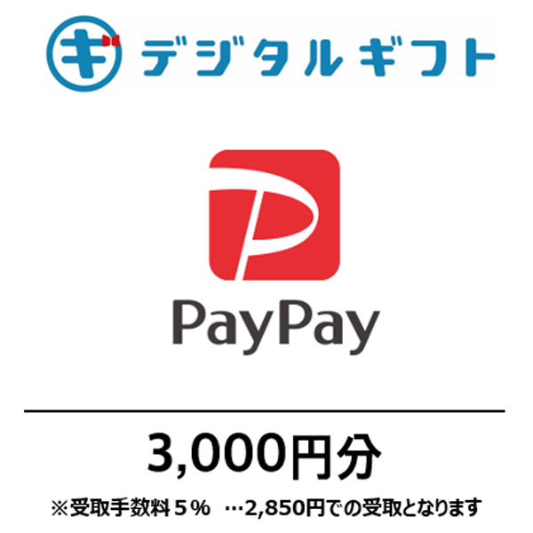 【PayPayマネーライト】選べるデジタルギフト（3,000円分）（メールで受け取り）